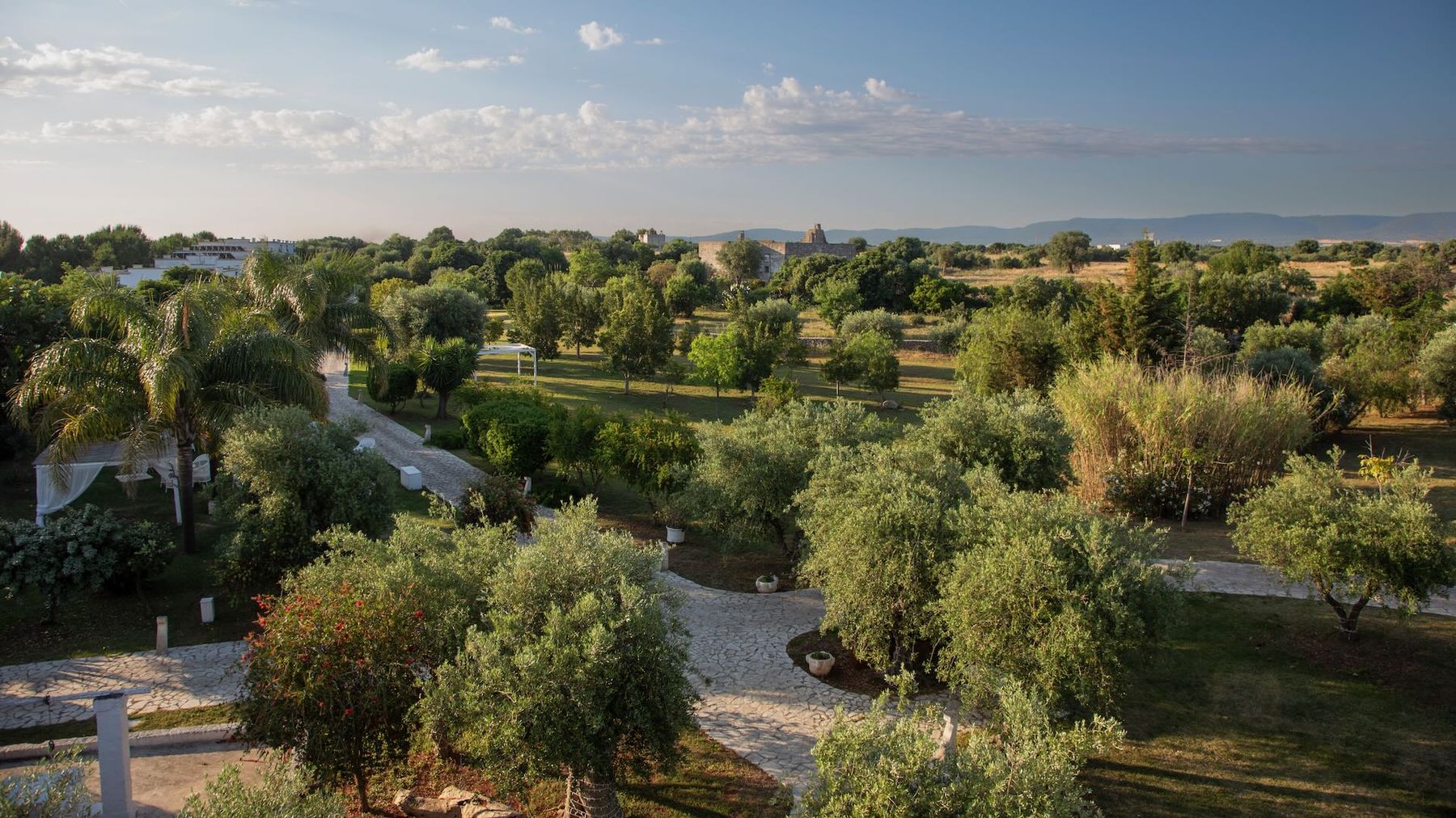 Panorama sul parco e sugli ulivi